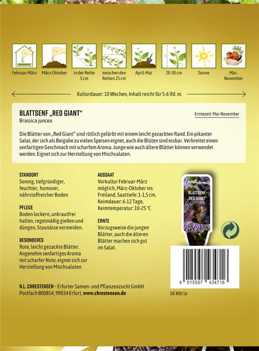 Roter Blattsenf-Samen