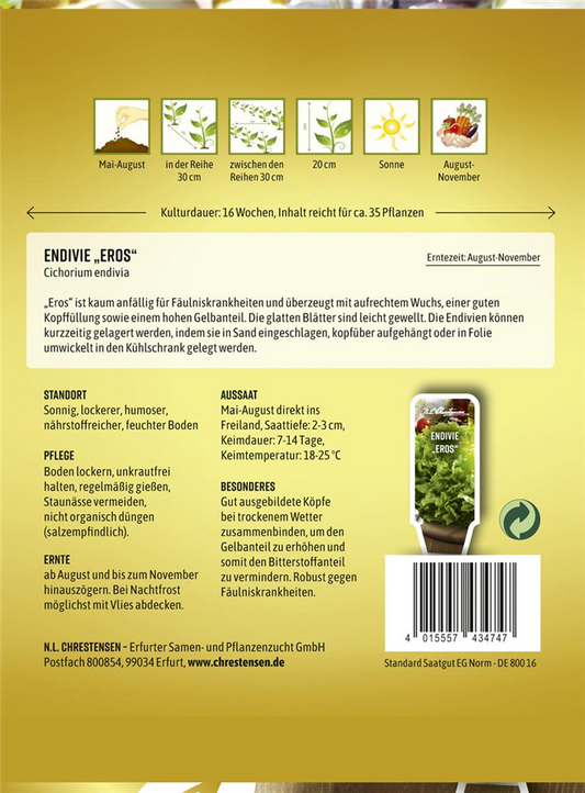 Endiviensamen 'Eros'