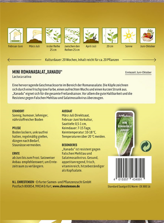 Romanasalatsamen 'Xanadu'