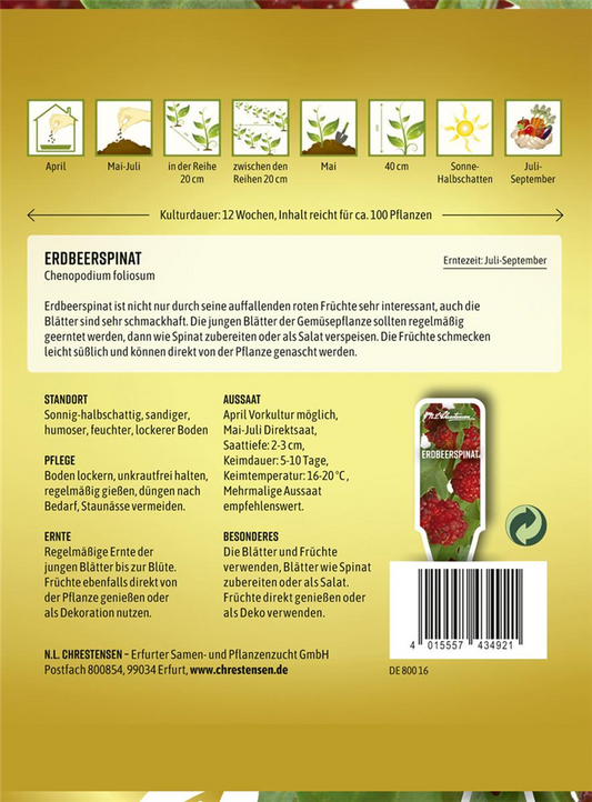 Echter Erdbeerspinat-Samen