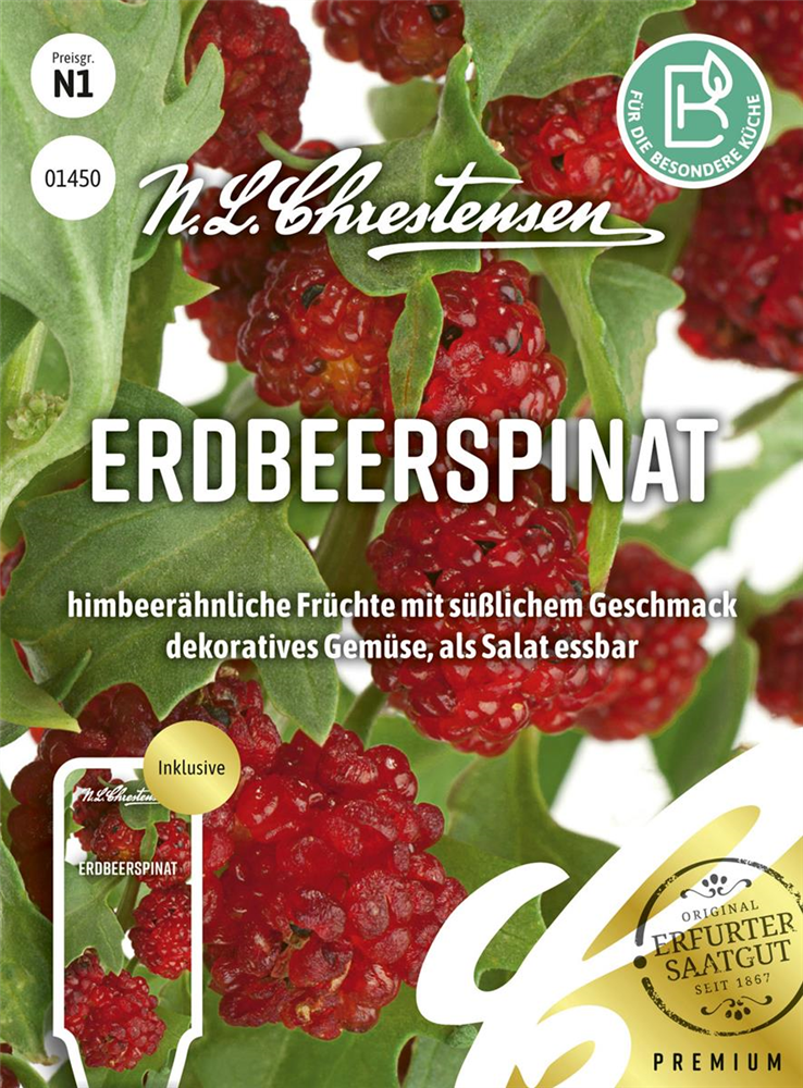 Echter Erdbeerspinat-Samen