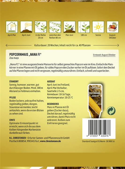 Popcornmaissamen 'Nana'