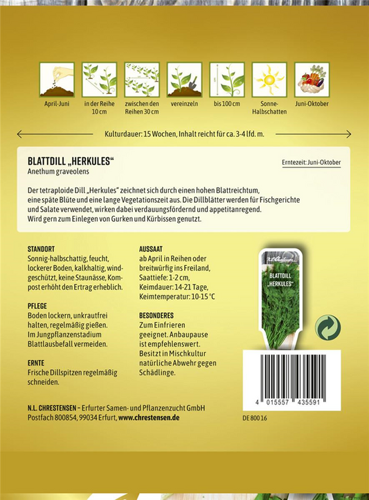 Dillsamen 'Herkules'