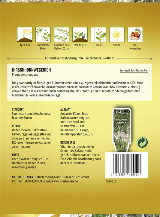 Hirschhorn-Wegerich-Samen
