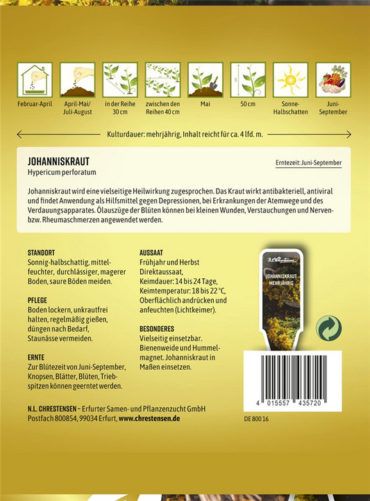 Echtes Johanniskraut-Samen