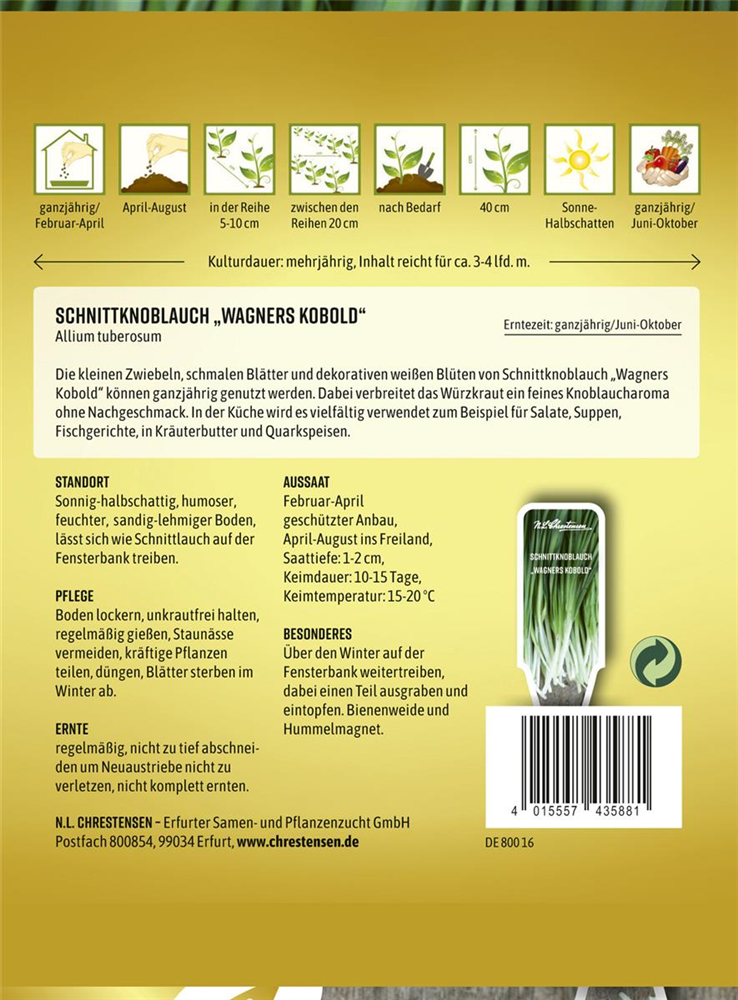 Schnittknoblauchsamen 'Wagners Kobold'