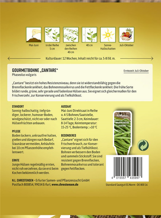 Buschbohnensamen 'Cantare'