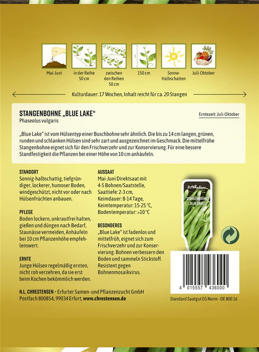 Stangenbohnensamen 'Blue Lake'