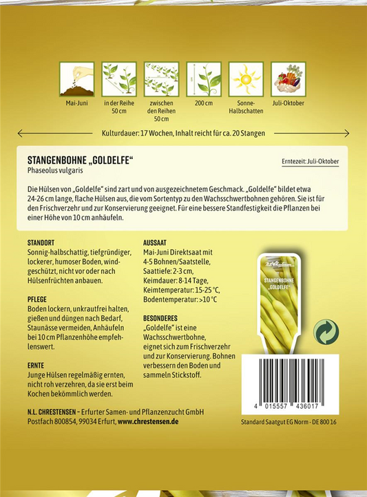 Stangenbohnensamen 'Goldelfe'