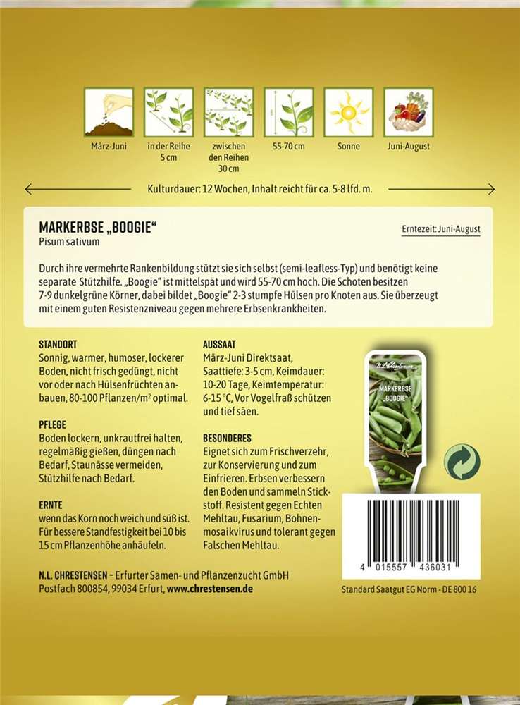 Erbsensamen 'Boogie'