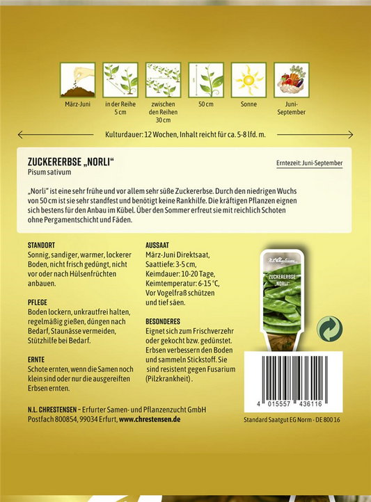 Erbsensamen 'Norli'