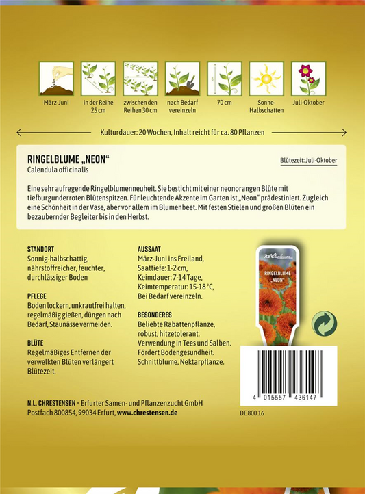 Ringelblumensamen 'Neon'