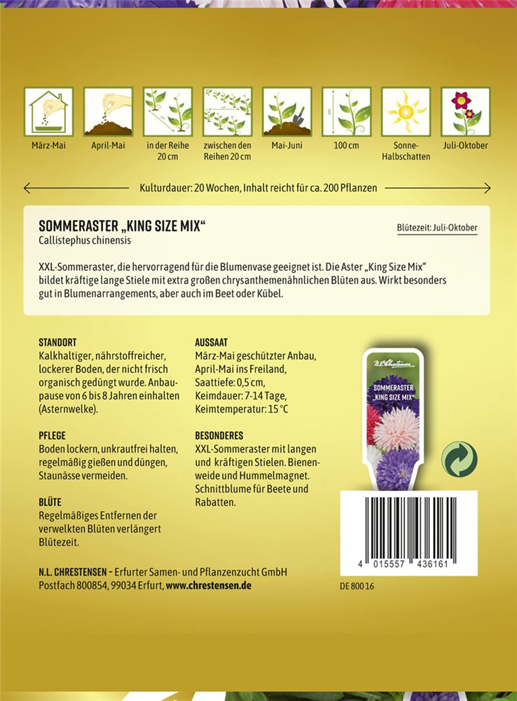 Sommerastersamen 'King Size Mix'