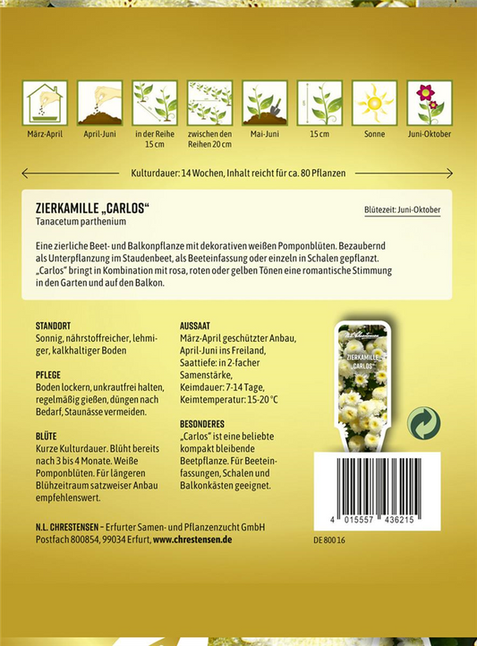 Zierkamillensamen 'Carlos'