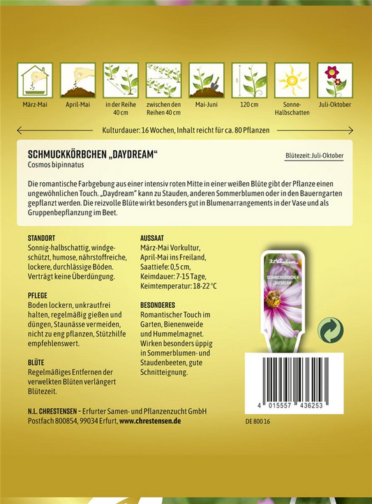 Schmuckkörbchensamen 'Daydream'