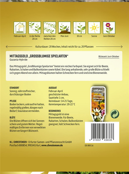 Mittagsgoldsamen 'Großblumige Spielarten'