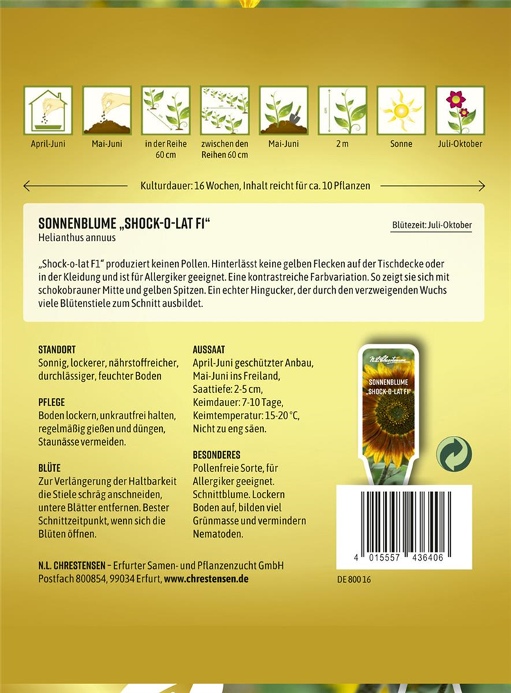 Sonnenblumensamen 'Shock-o-lat'