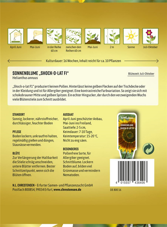 Sonnenblumensamen 'Shock-o-lat'