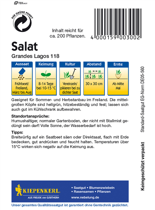 Eis-Krachsalat 'Great Lakes 118'