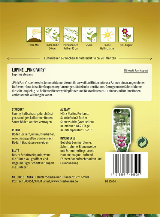 Lupinensamen 'Pink Fairy'