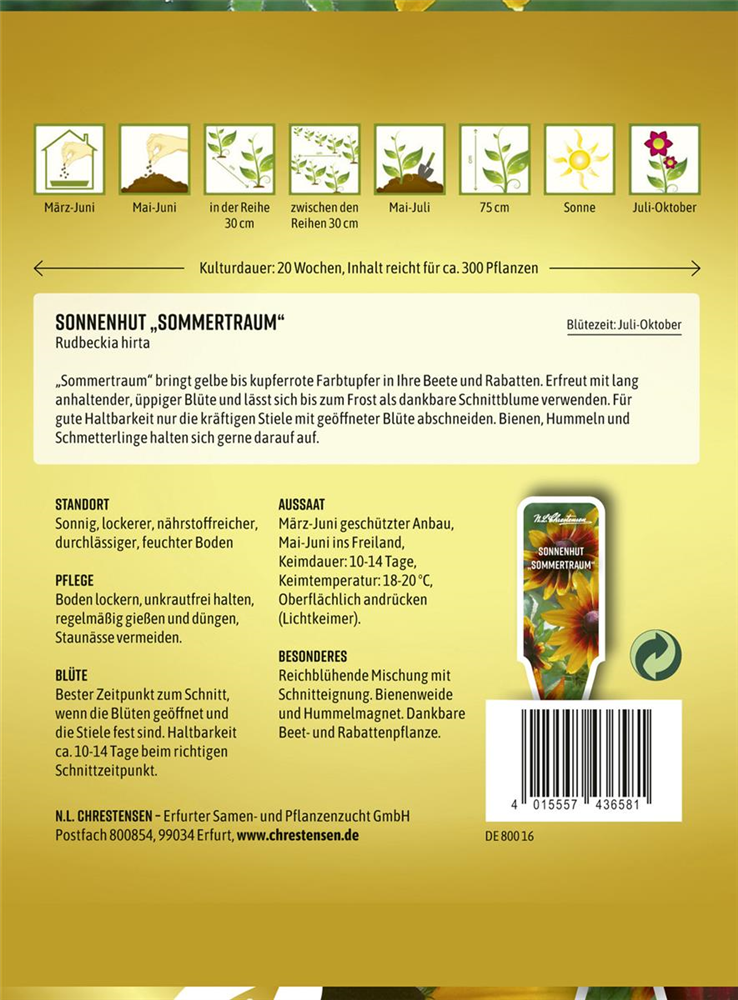 Sonnenhutsamen 'Sommertraum'