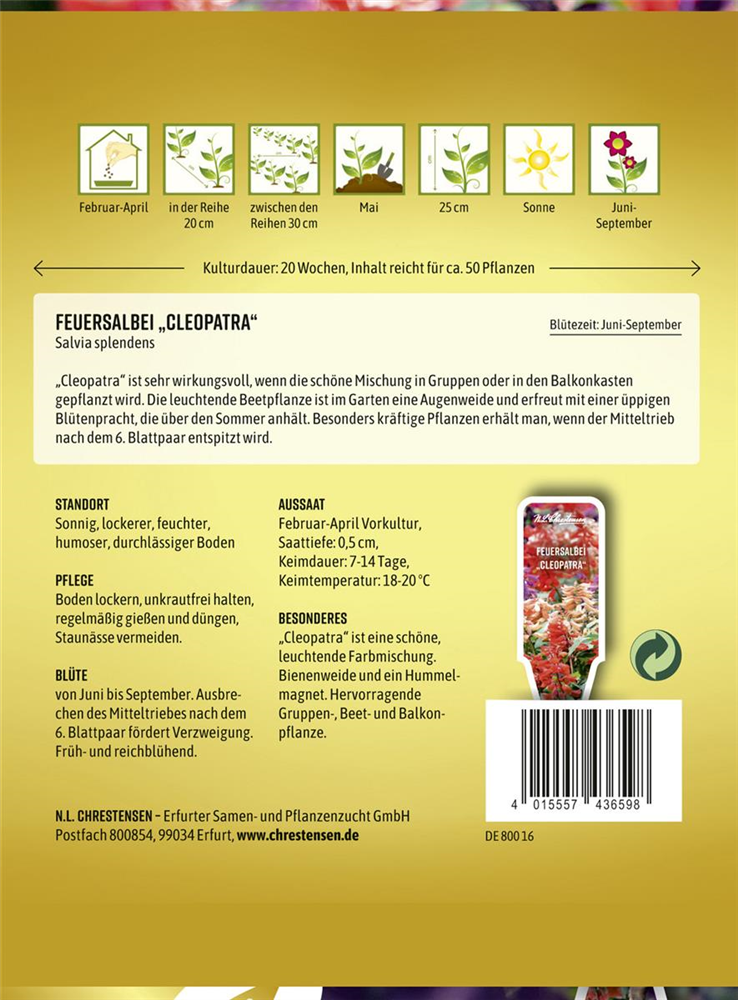 Feuersalbeisamen 'Cleopatra'