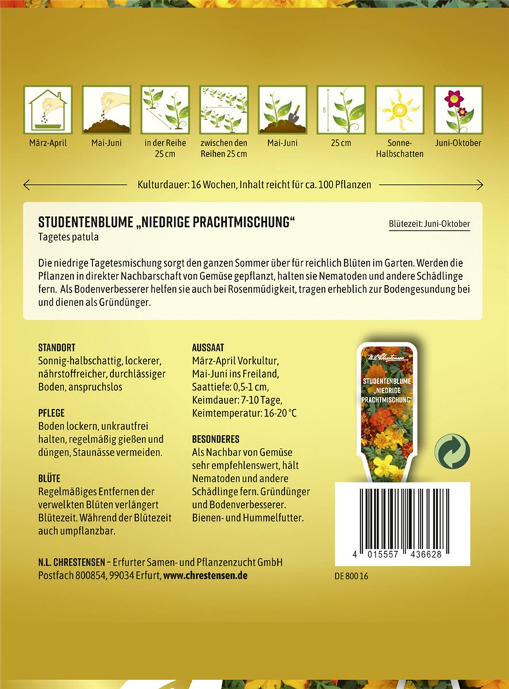 Tagetessamen 'Niedrige Prachtmischung'
