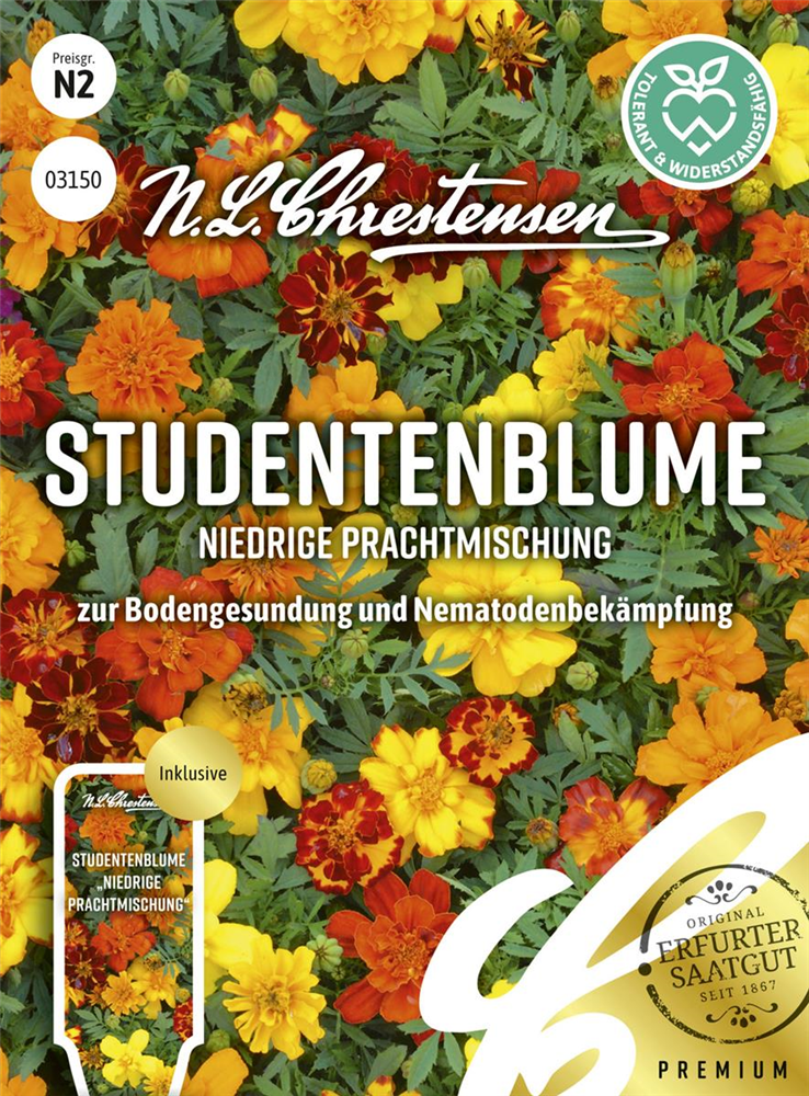 Tagetessamen 'Niedrige Prachtmischung'