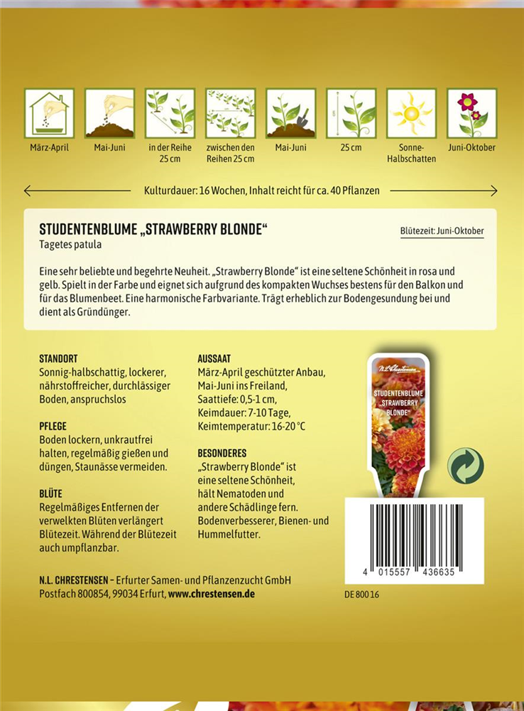 Tagetessamen 'Strawberry Blonde'
