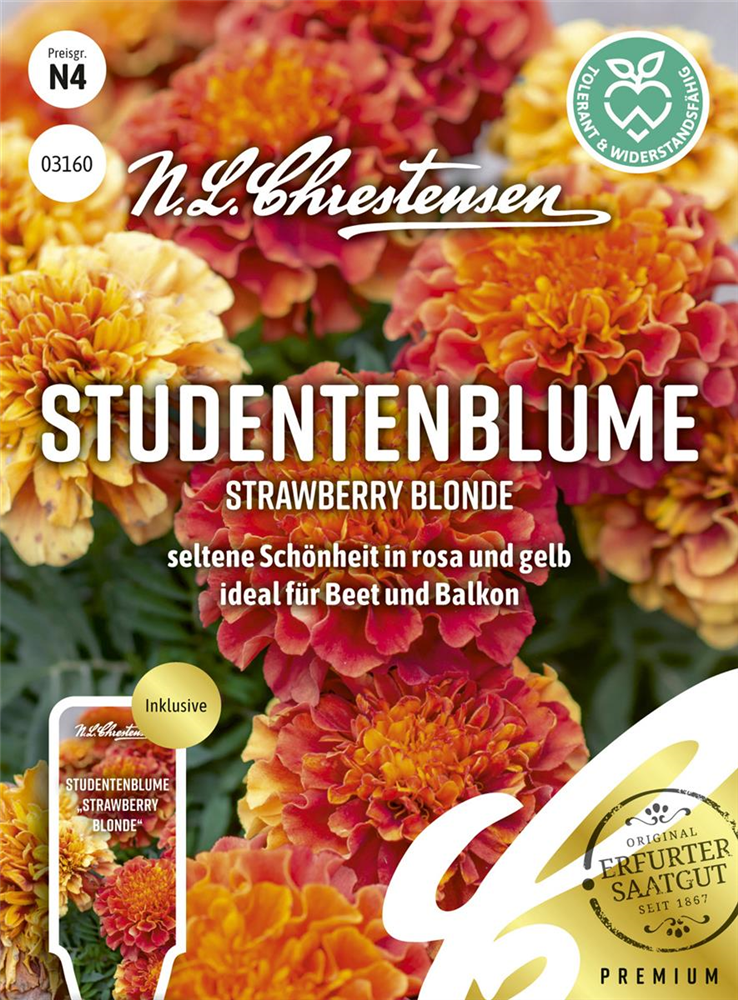 Tagetessamen 'Strawberry Blonde'