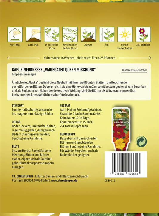 Kapuzinerkressesamen 'Variegated Queen'