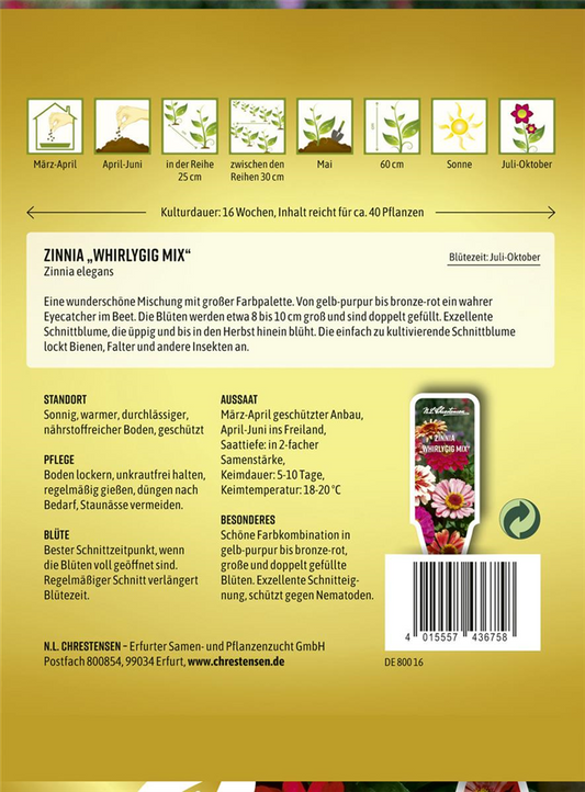 Zinniensamen 'Whirlygig'