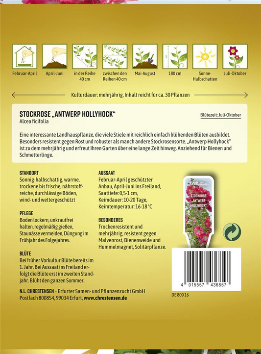 Stockrosensamen 'Antwerp Hollyhock'