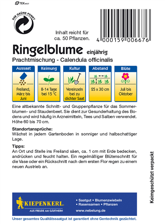 Ringelblume 'Prachtmischung'