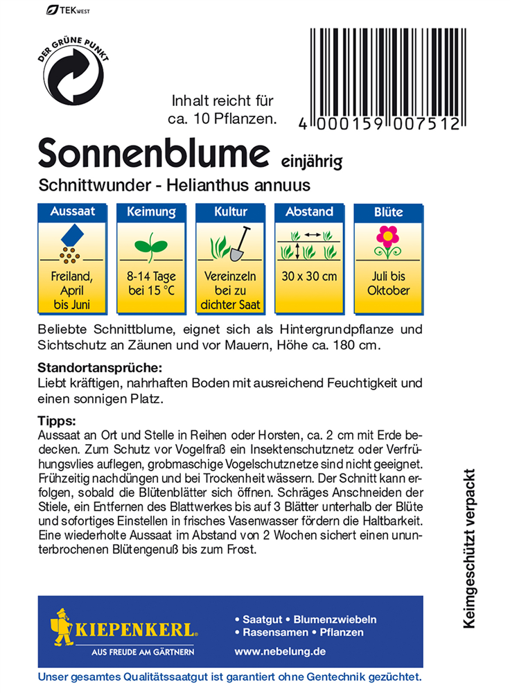 Sonnenblume 'Schnittwunder'