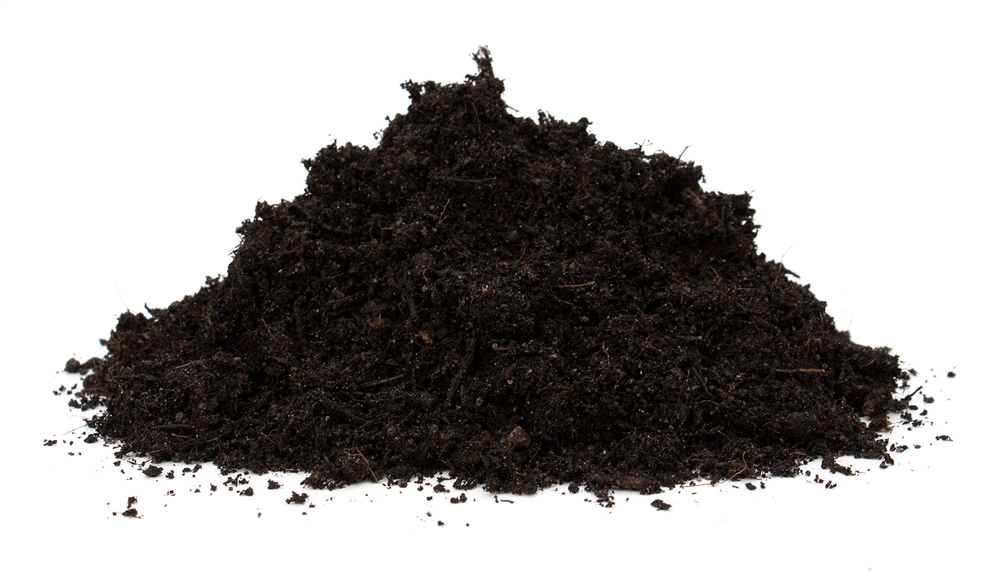 Floragard Bio-Erde Duftend