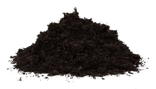 Floragard Bio-Erde Duftend