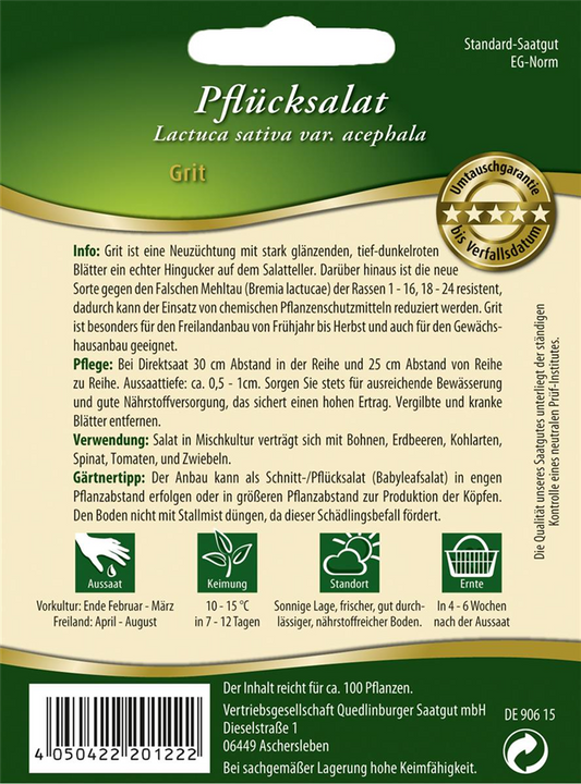 Eichblattsalatsamen 'Grit'