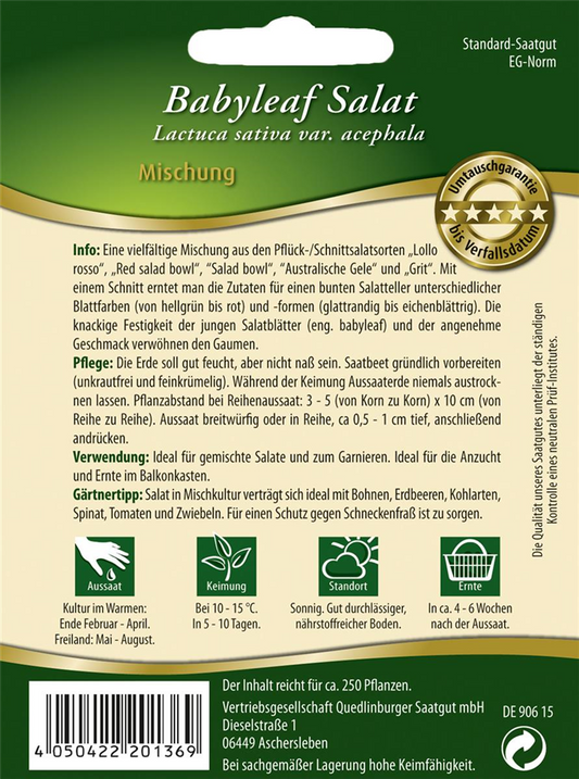 Babyleaf-Salat-Samen