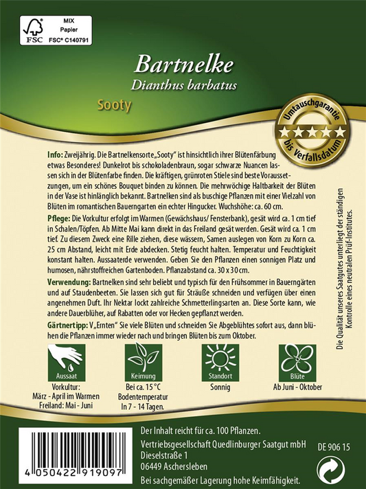 Bartnelkensamen 'Sooty'