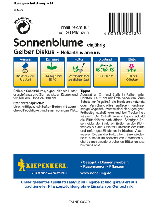 Sonnenblume 'Gelber Diskus'