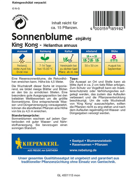 Sonnenblume 'King Kong'