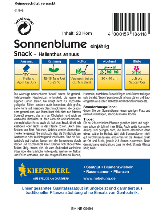 Sonnenblume 'Snack'