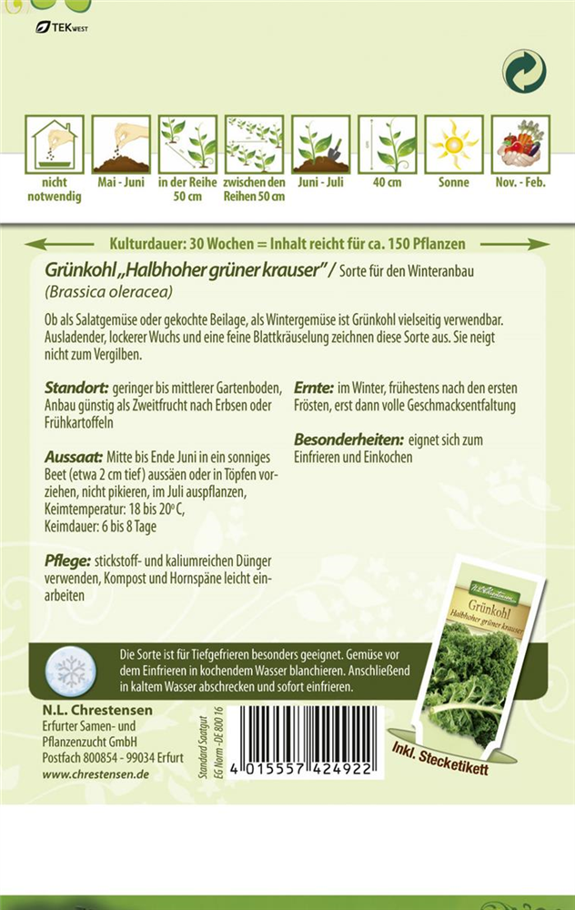Grünkohlsamen 'Halbhoher Grüner Krauser'