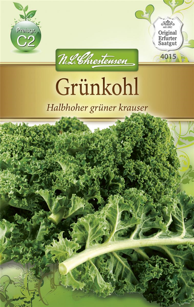 Grünkohlsamen 'Halbhoher Grüner Krauser'