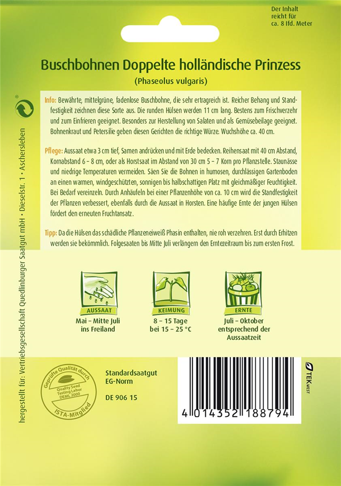Buschbohnensamen 'Doppelte holländische Prinzess'