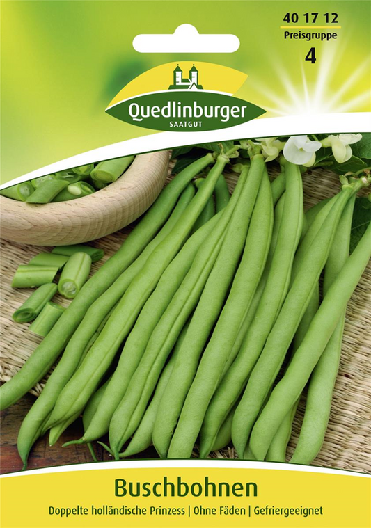 Buschbohnensamen 'Doppelte holländische Prinzess'