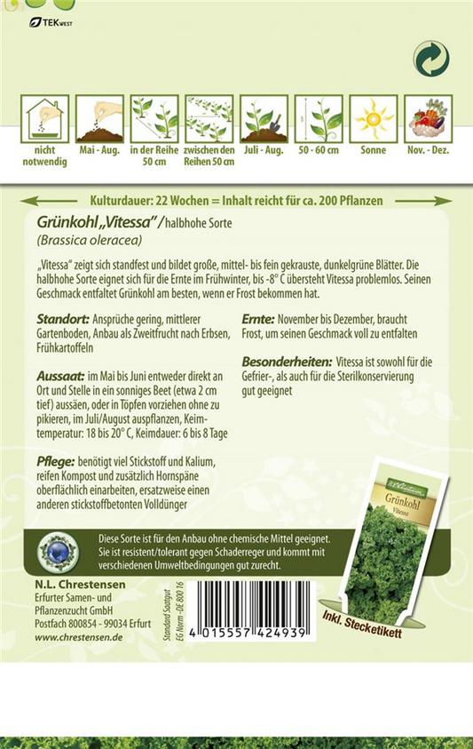Grünkohlsamen 'Vitessa'