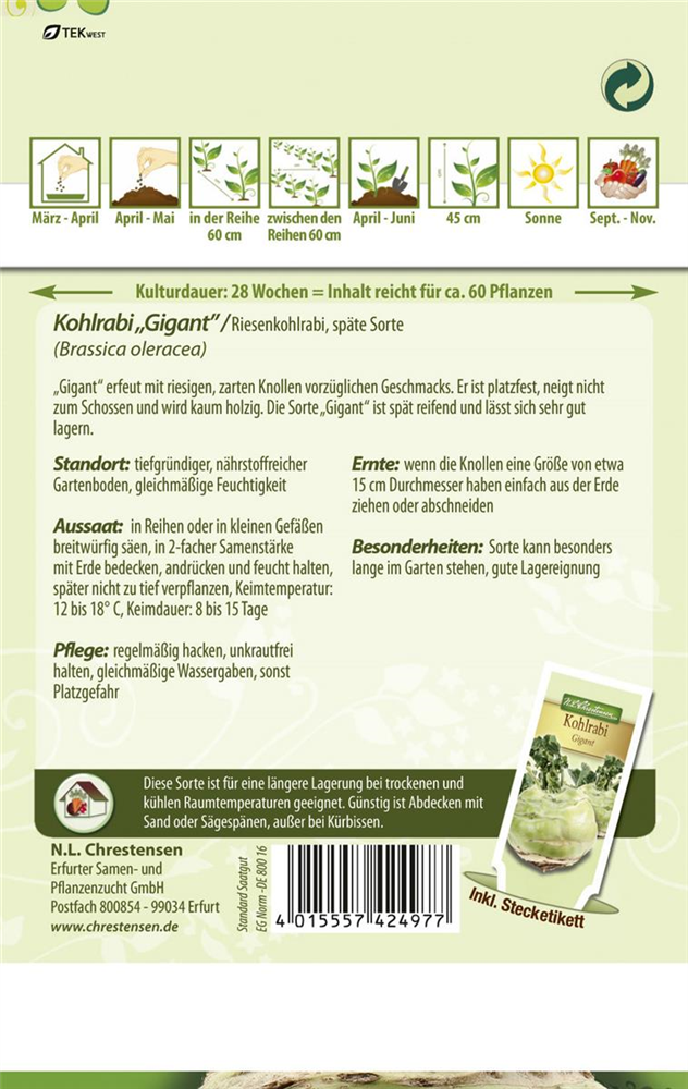 Kohlrabisamen 'Gigant'