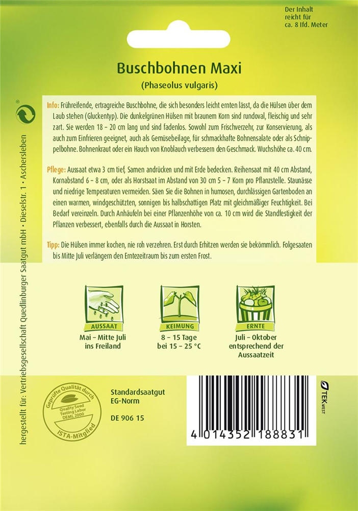 Buschbohnensamen 'Maxi'